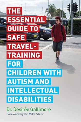 The Essential Guide to Safe – Paperback, by Gallimore Desiree – Very Good