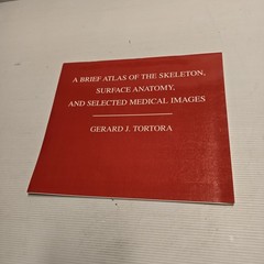 A Brief Atlas of the Skeleton, Surface Anatomy, Medical Images – Gerard J