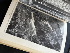 Vintage Mountain Guide Book / Maps • Washington State 1965 Mountaineers