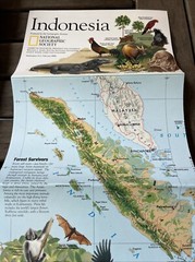 National Geographic Society Map of Indonesia 1996 Forest Survivors