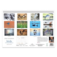 2022 Birds of Australia Wall Calendar – RAOUL SLATER