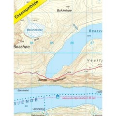 Norway Jotunheimen East Aust Tourist Map: 2503 hiking walking skiing 1:50K