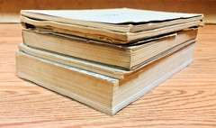 Lot 5 Canada Department of Mines Geological Surveys Paleontology Geology Vintage
