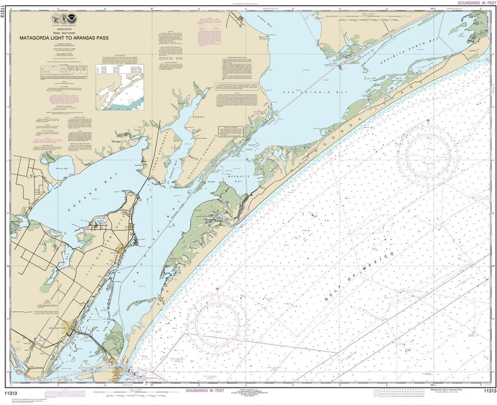 Matagorda Light to Aransas Pass | Waterproof NOAA Chart 11313