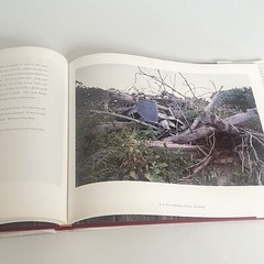 Rock City: A Passing Ear Photographed by David B. Jenkins Large Hardcover 1996
