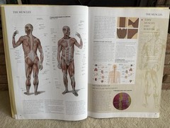 HUMAN ANATOMY Book by TAJ Books 2002 17”x24” 9lb 160 pages Exc Condition