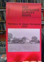 MAP OF Norbury & Upper Norwood 1894: London Sheet 144 by J. W. Brown NEW