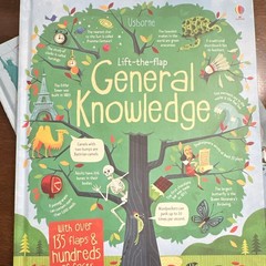 Usborne Big Picture Atlas and Lift the Flap general knowledge book (2 books)
