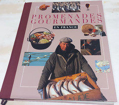 Promenades Gourmandes en France – Jean-Luc Petitrenaud – French Hardcover