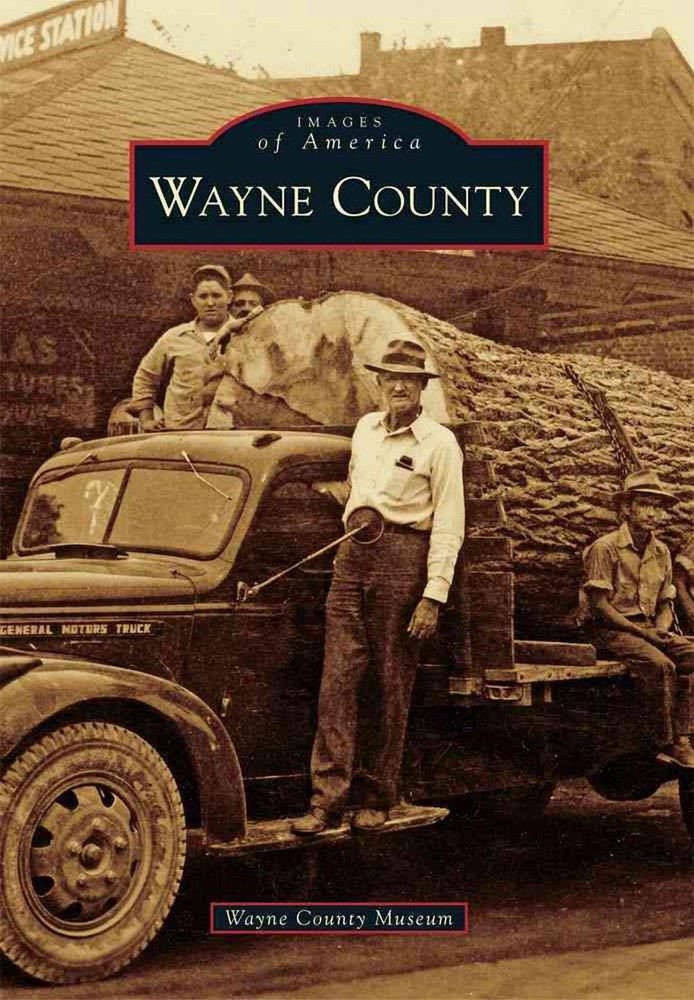 Wayne County by Wayne County Museum (English) Paperback Book