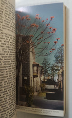 The Canary Islands; Mythical, Historical, Present; Yann Evan; Vintage; VG