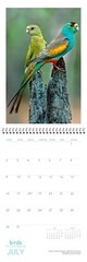 2023 Birds of Australia Wall Calendar- CLIFFORD B. FRITH & DAWN W. FRITH