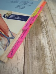 Atlas of Anatomy – Paperback By Gilroy, Anne M – GOOD