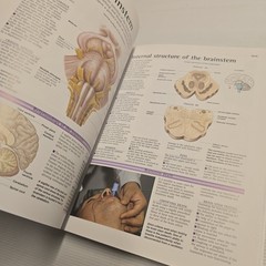 The Atlas of The Human Body by Professor Peter Abrahams – Complete Guide