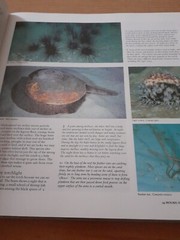 Great Barrier Reef by Reader’s Digest Hardback Book