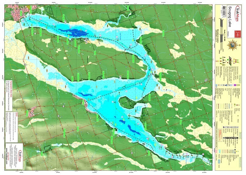 Lake Scugog | Waterproof Chart | 20 x 28