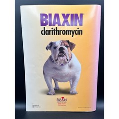 Rand McNally Road Atlas Millennium Edition 1999 Biaxin Pharma Bulldog Promo USA