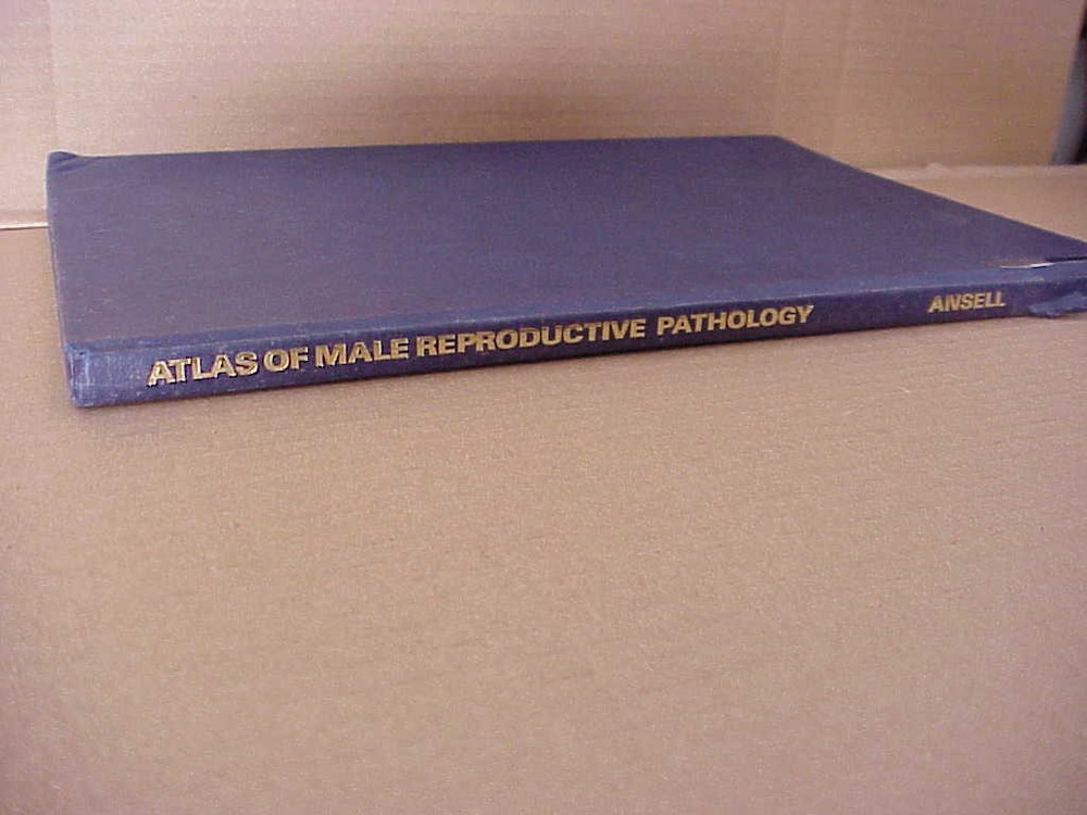 Atlas of Male Reproductive Pathology 10 by I. D. Ansell (1985, Hardcover)