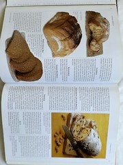 Flexi Bread A256 by Shapter Ingram