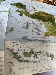 National Geographic Society Map of Indonesia 1996 Forest Survivors