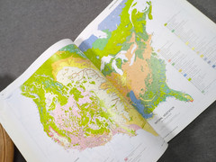 2005 Goode’s World Atlas 21st Edition Rand McNally Vintage Trade Paperback