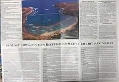 The Hanauma Bay Snorkeling Guide Oahu Hawaii Tourist Guide Brochure
