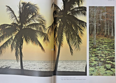 America & Photography World Atlas-Rand McNally – Rare Find! TOSHIBA prints!