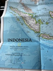 National Geographic Society Map of Indonesia 1996 Forest Survivors