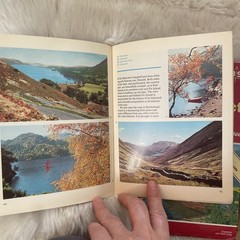 Bundle of 3 Vintage Lake District New Forest Dartmoor Tourist Guide Tour Maps