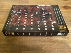 Lucy’s Bones, Sacred Stones and Einstein’s Brain: The Remarkable Stories…