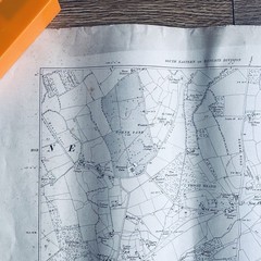 Ordnance Survey 1914 Surrey Sheet XLII NE Lingfield Godstone 6in/1mi WW1 OS MAP