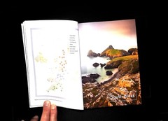 100 Nature Walks by National Trust Book – New, Discover Britain’s Wild Side