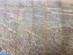 1954 RELIEF MAP, SLOVENIA AND PROVINCES, BY I. SELAN, TOURIST ASSOC. OF SLOVENIA