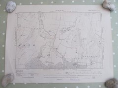 VINTAGE OS MAP CLAPHAM & WEPHAM DOWN SUSSEX 1913 SIX INCHES – ONE MILE