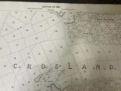 1916 Ordnance Survey, South Crosland, CCLX 6