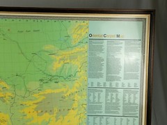 Original 1975 Oriental Carpet Map – Huge Retailers Display Map – 130cm x 91cm