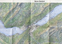 Berner Oberland: Landeskarte Der Schweiz 5004 Switzerland Map 1981 1:50,000