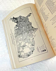 Denoyer Geppert OUR GOVERNMENT United States Presidential Election Maps – 1945