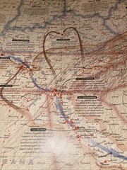 Battles of the Civil War, Wall Maps History & Nature by National Geographic Tube