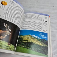 Austria Insight Guide (Insight Guides) Travel Guide Discovery Channel