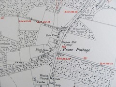 VINTAGE OS MAP OF THE PEASE POTTAGE AREA SUSSEX 1948 SIX INCHES – ONE MILE