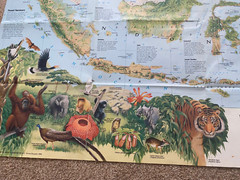 National Geographic Map Indonesia February 1996
