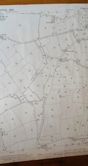 VINTAGE 1904 ORDNANCE SURVEY ROLLED MAP WESTHORPE 104CM X 73CM