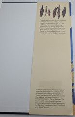 Oxford Bible Atlas hardback fourth edition 4th Curtis, Adrian with jacket