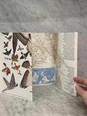 Vintage National Geographic Bird Migration Americas Northeast USA Fold Map 1979