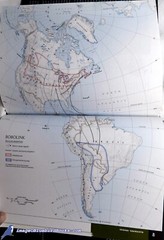 National Geographic Reference Atlas to the Birds of N. America F HC/NF DJ 88266