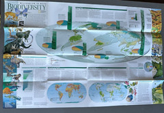 Millennium in Maps, Biodiversity, National Geographic, Map & Poster, 1998