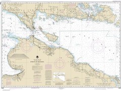 Straits of Mackinac | Waterproof NOAA Chart 14880