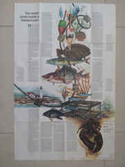 National Geographic Map / Poster – Close Up USA Maine & Maritime Canada 1975