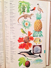 National Geographic Atlas of North America Space Age Portrait of Continent 1985